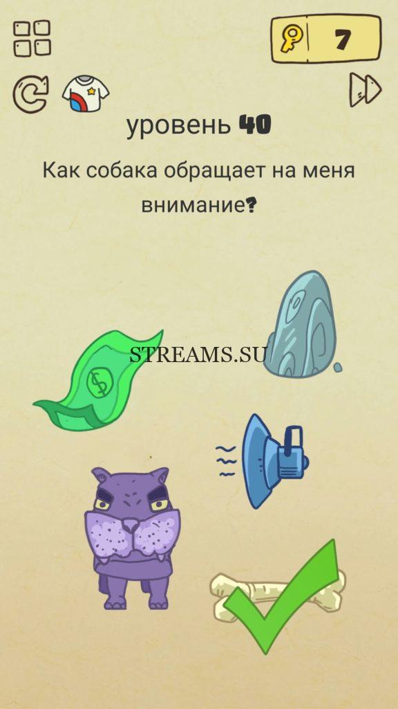 Как собака обращает на меня внимание? 40 уровень Brain Crazy