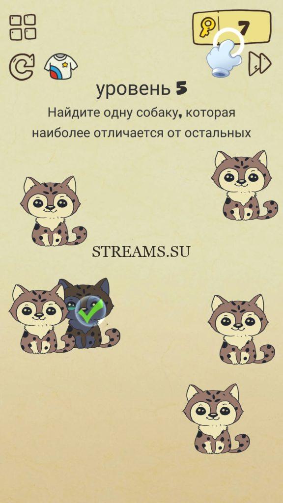 Найдите одну собаку, которая наиболее отличается от остальных. 5 уровень Brain Crazy