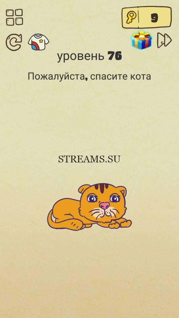 Пожалуйста спасите кота. 76 уровень Brain Crazy