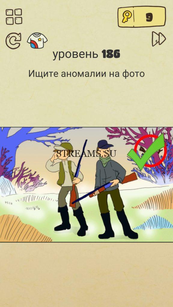 Ищите аномалии на фото. 186 уровень Brain Crazy