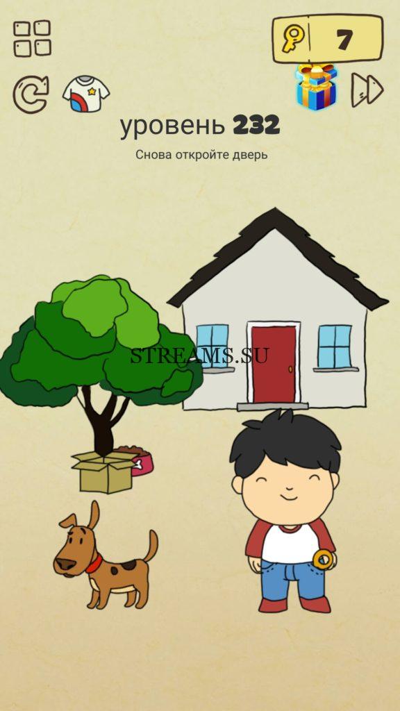Снова откройте дверь. 232 уровень Brain Crazy